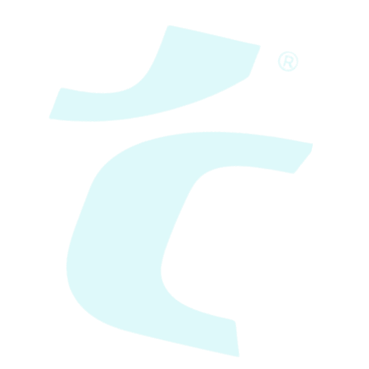 Logo Watermark